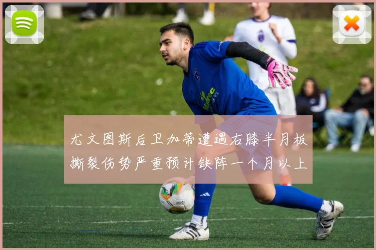 尤文图斯后卫加蒂遭遇右膝半月板撕裂伤势严重预计缺阵一个月以上